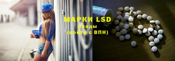 таблы Новозыбков