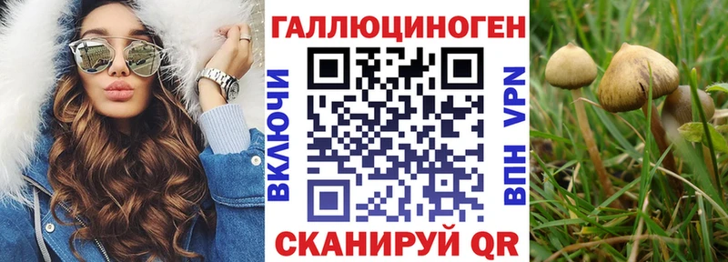 Псилоцибиновые грибы Psilocybine cubensis  блэк спрут ТОР  Шиханы 